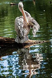 开发者介绍《无畏契约》新地图：灵感源自《夺宝奇兵》